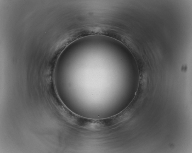 X0000113040466200908271510