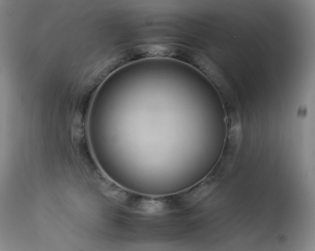 X0000113040469200908271510