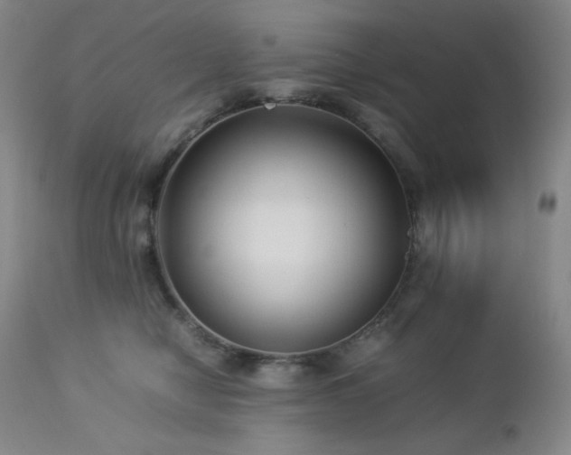 X0000113040470200908271510