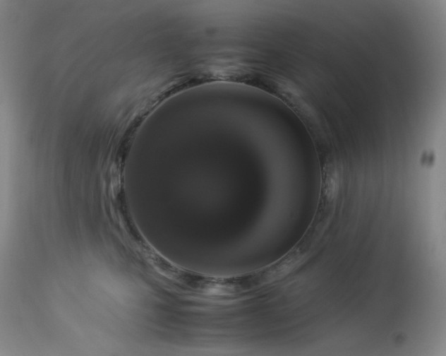 X0000113040471200908271510