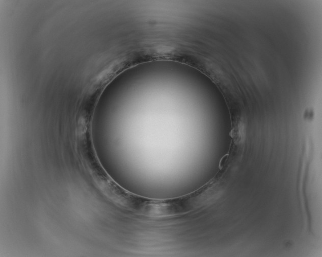 X0000113040472200908271510