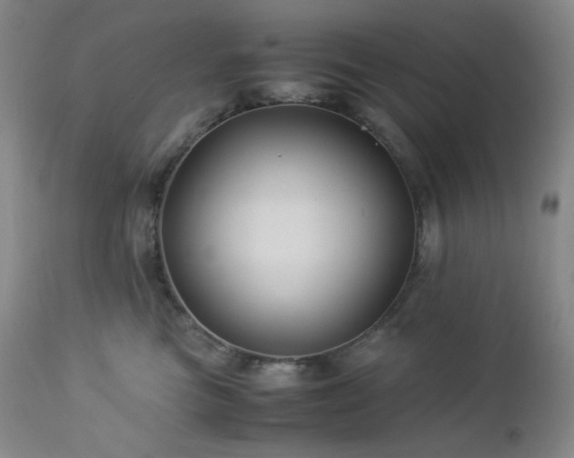 X0000113040473200908271510