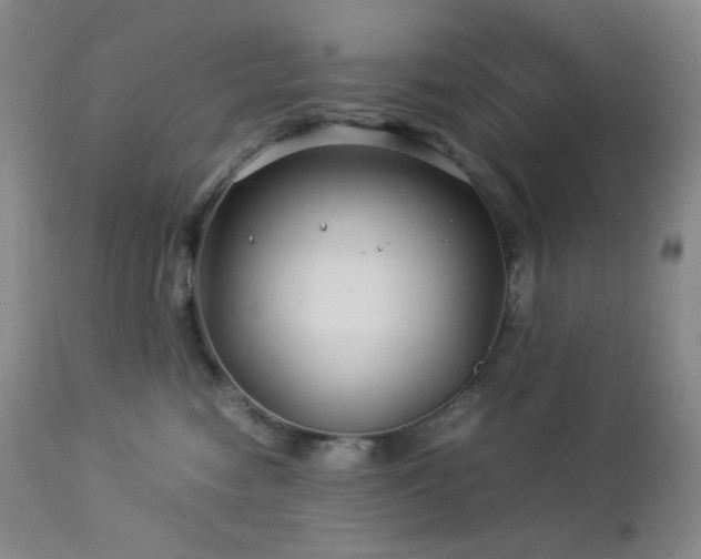 X0000113040474200908271510