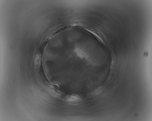 X0000113040475200908271510