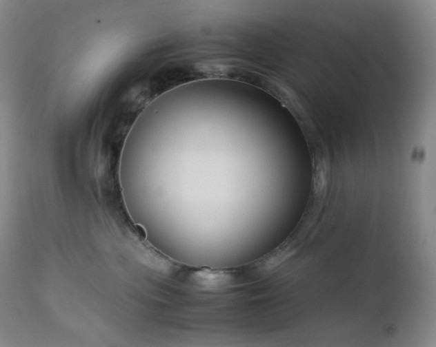 X0000113040477200908271510