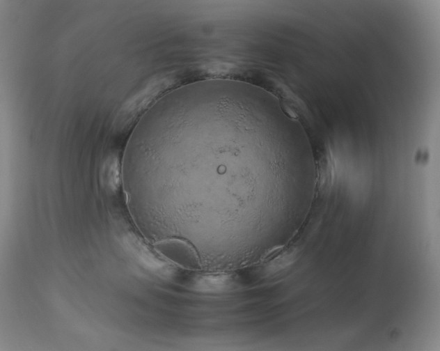 X0000113040479200908271510