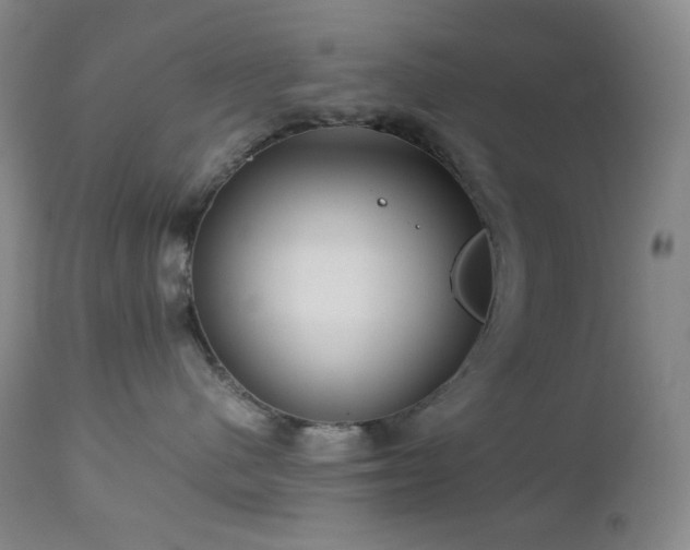 X0000113040480200908271510