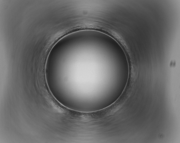 X0000113040481200908271509