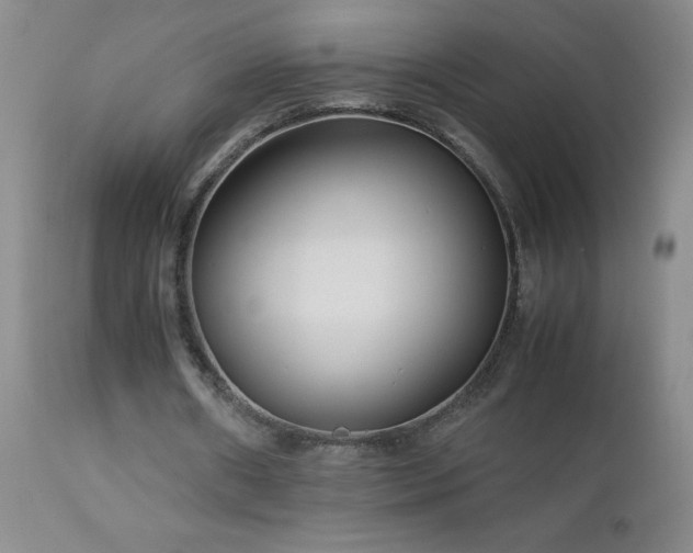 X0000113040482200908271509