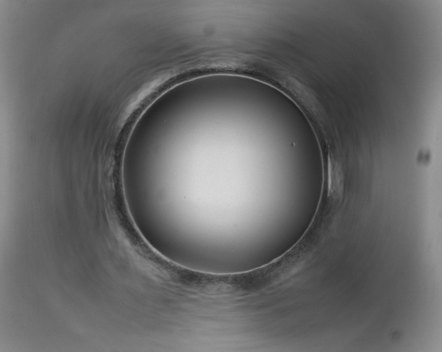 X0000113040483200908271509