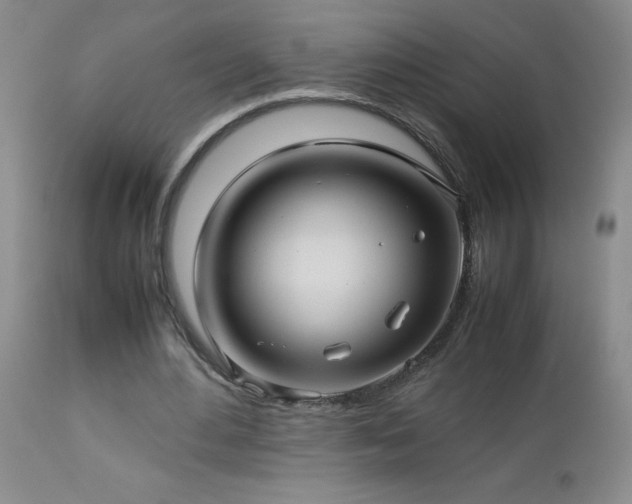 X0000113040484200908271509