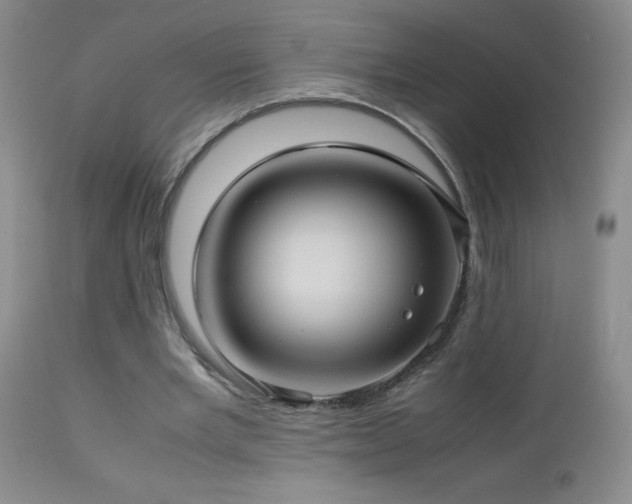 X0000113040485200908271509