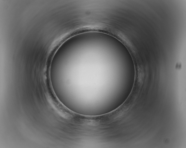 X0000113040486200908271509