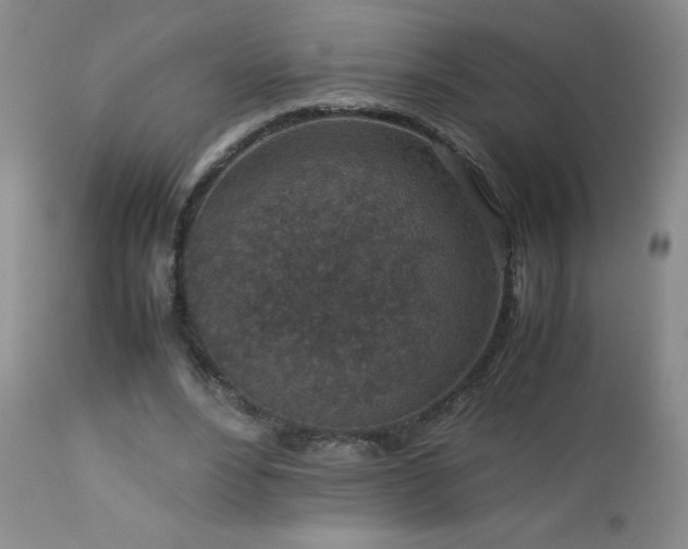 X0000113040488200908271509