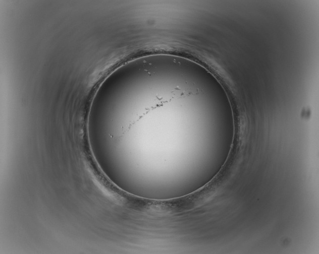 X0000113040489200908271509