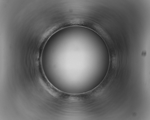 X0000113040490200908271509