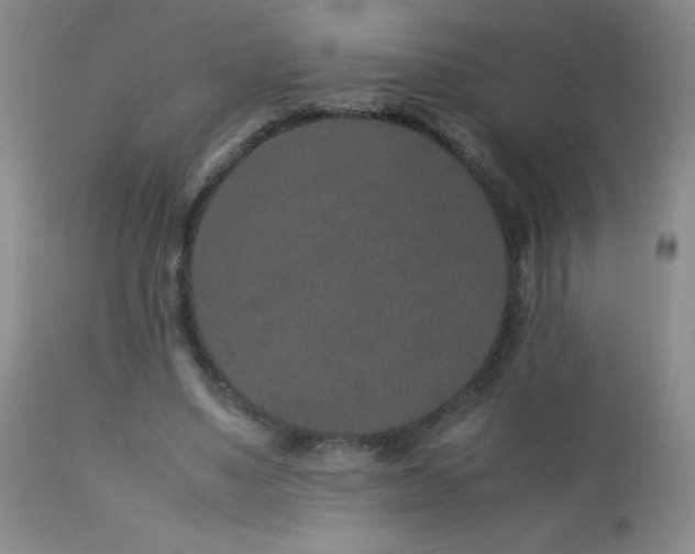 X0000113040491200908271509