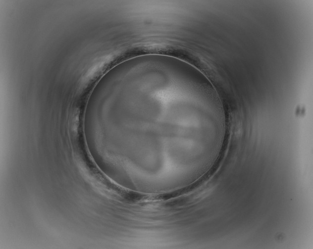 X0000113040495200908271509