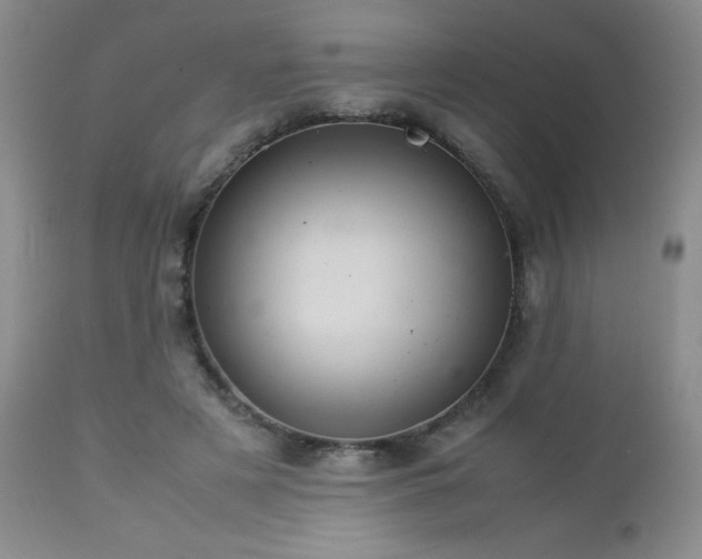 X0000113040497200908271509