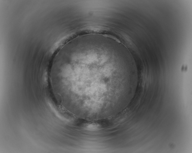 X0000113040500200908271509