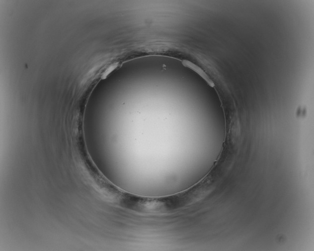 X0000113040501200908271509