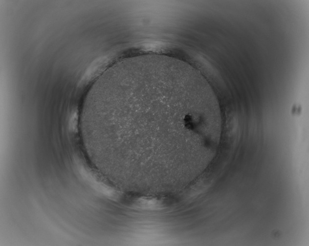 X0000113040502200908271509