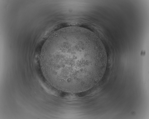 X0000113040503200908271509