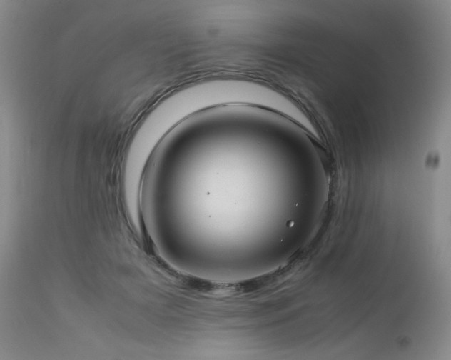 X0000113040505200908271509