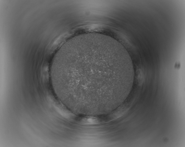 X0000113040506200908271509