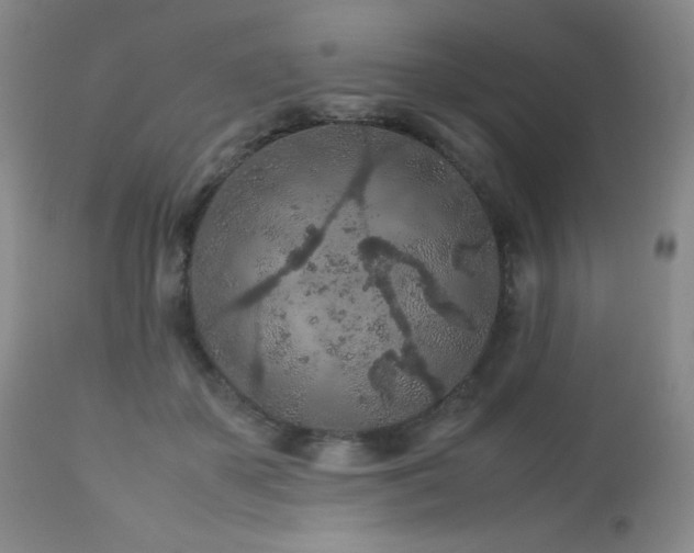 X0000113040507200908271509