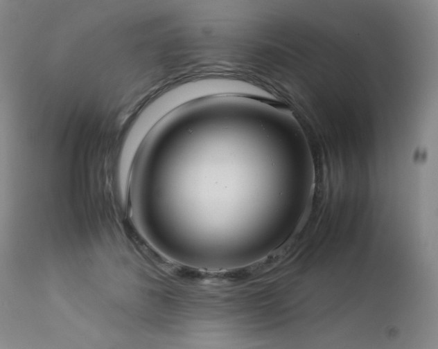 X0000113040508200908271509