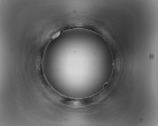X0000113040509200908271509