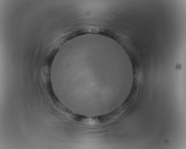 X0000113040511200908271509