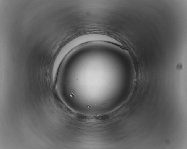 X0000113040512200908271509