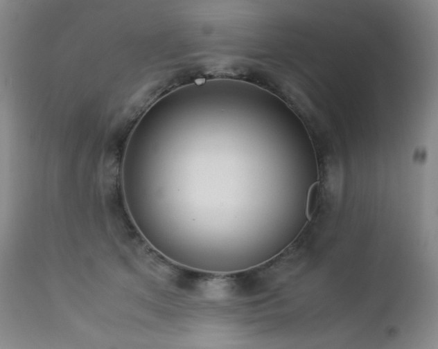 X0000113040513200908271509