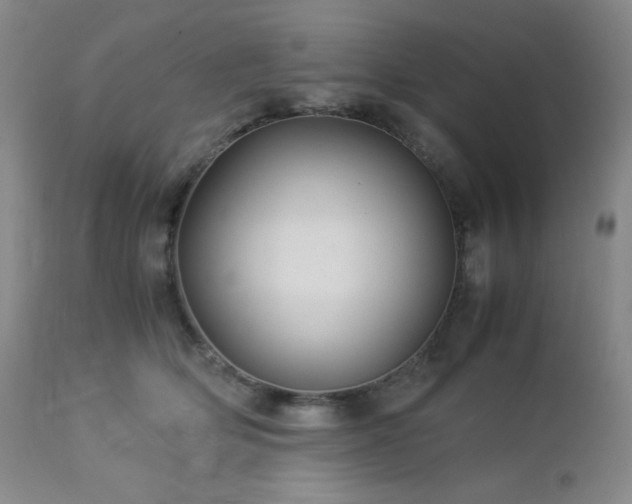 X0000113040514200908271509