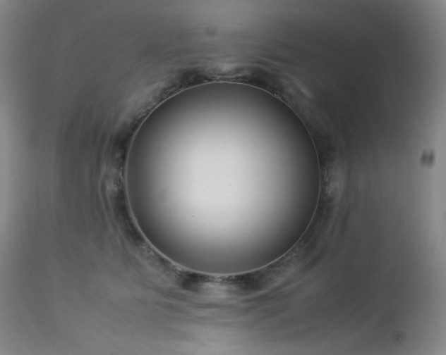 X0000113040515200908271509