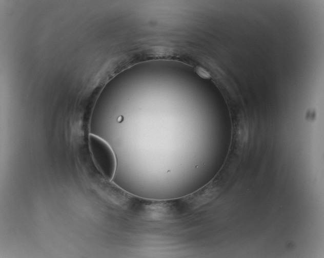 X0000113040516200908271509