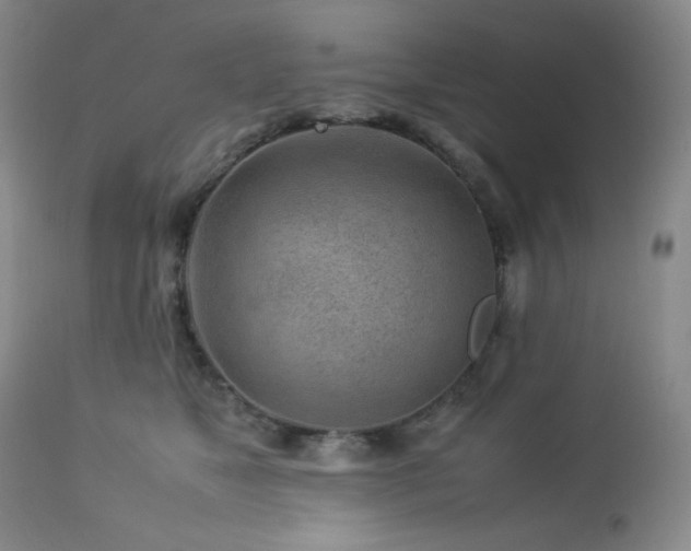 X0000113040517200908271509
