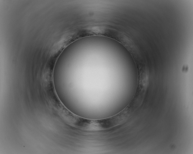X0000113040518200908271509