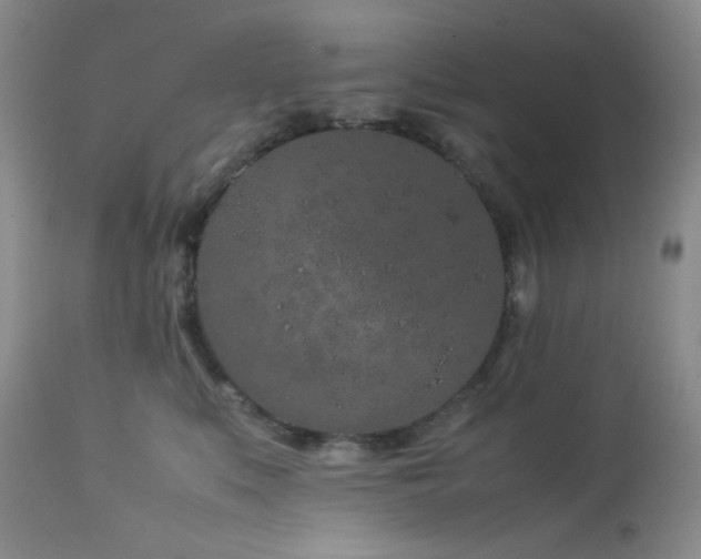 X0000113040519200908271509