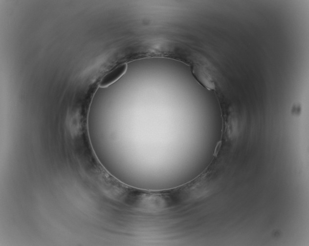 X0000113040520200908271509