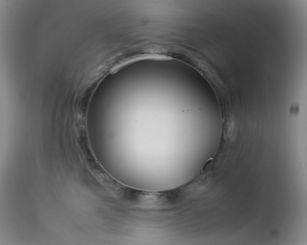 X0000113040521200908271509