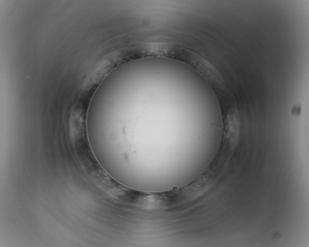 X0000113040522200908271509