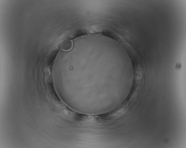 X0000113040523200908271509
