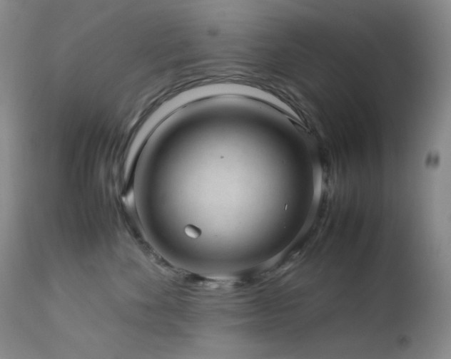 X0000113040524200908271509