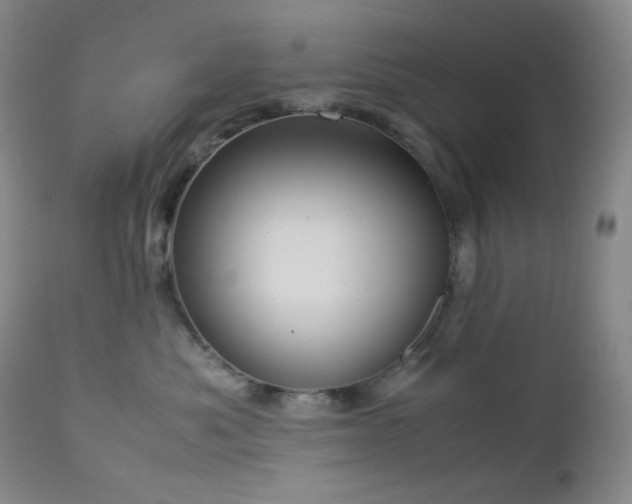 X0000113040525200908271509