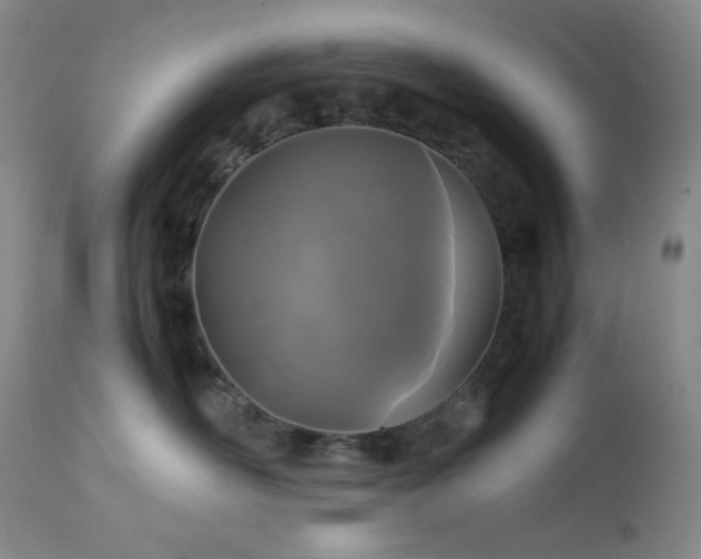 X0000113040526200908271509