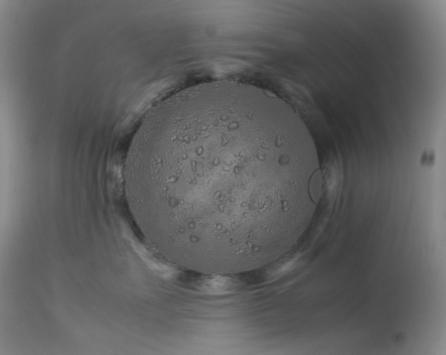 X0000113040527200908271509