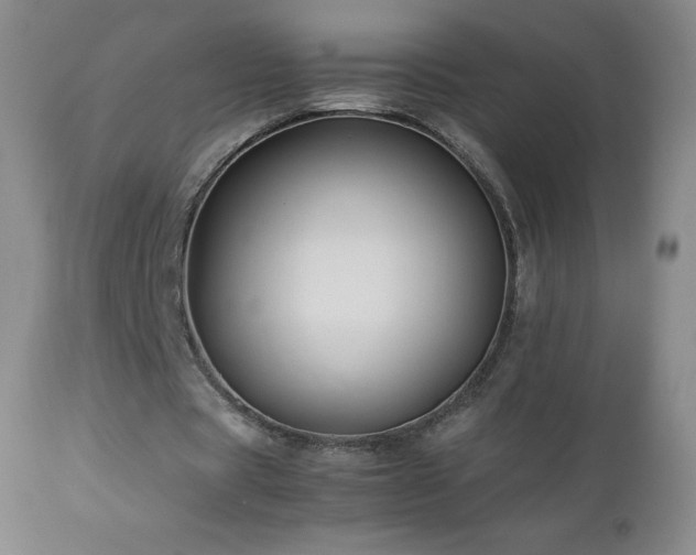X0000113040529200908271508